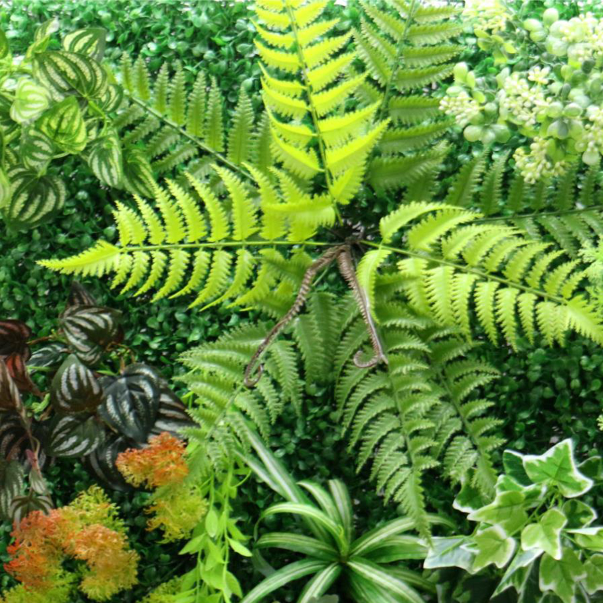 view